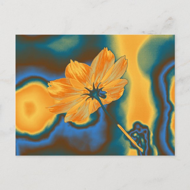 Pop Art Beautiful Yellow Cosmos Flower Postcard (Front)