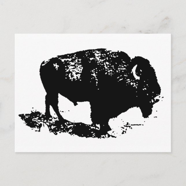 Pop Art Black White Buffalo Bison Silhouette Postcard (Front)