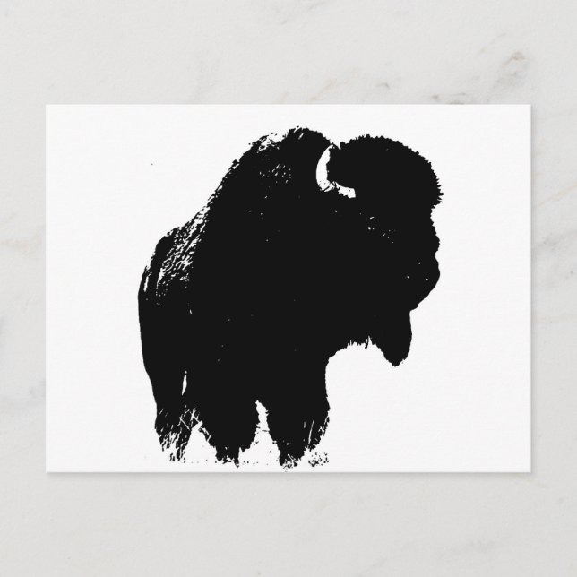 Pop Art Buffalo Bison Silhouette Postcard (Front)