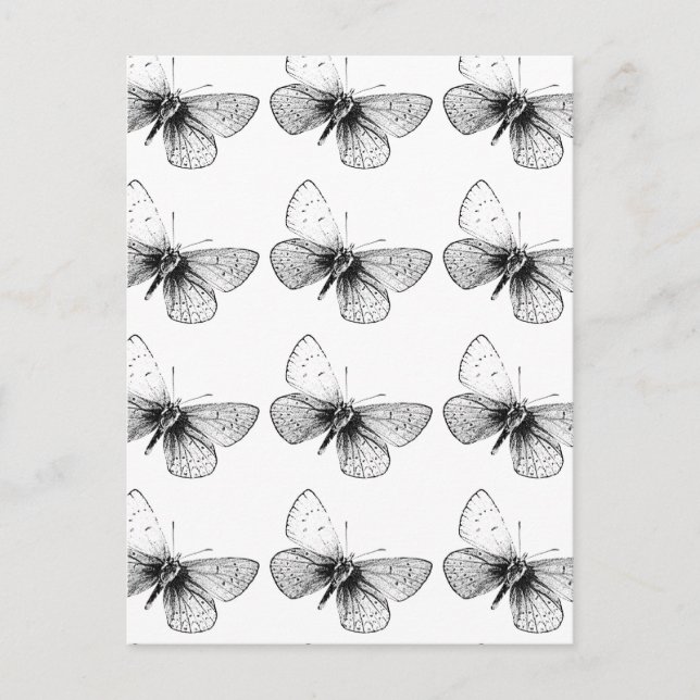 Pop Art Butterfly Postcard (Front)