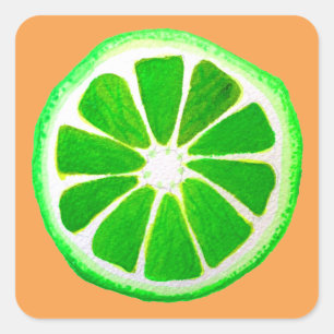 Pop art citrus lime fruit original watercolour square sticker