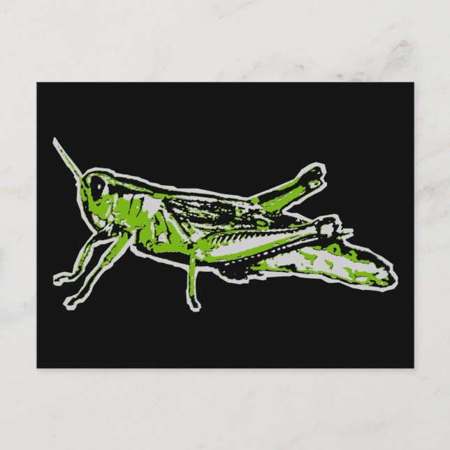 Pop Art Green Grasshopper Postcard (Front)