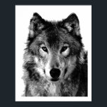 Pop Art Grey Wolf Face Poster Print<br><div class="desc">Wild Animal Digital Artworks, Paintings, Pictures and Images</div>