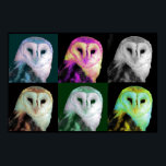 Pop Art Owl Poster<br><div class="desc">Great looking poster print done in a pop art style, with a barn owl in 6 different colors. Stylish poster and great for any bird lover.</div>