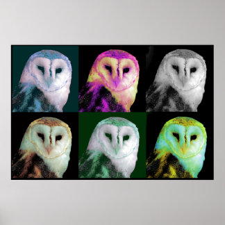 Pop Art Owl Poster