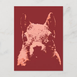 Pop Art Squirrel Postcard