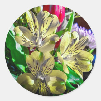 Pop Colour Flowers Sticker