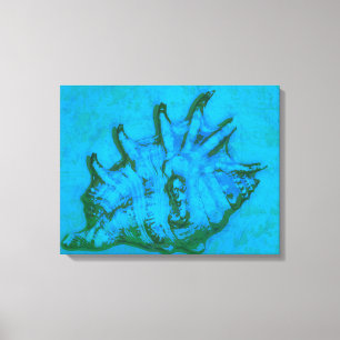 Pop Conch Canvas Print