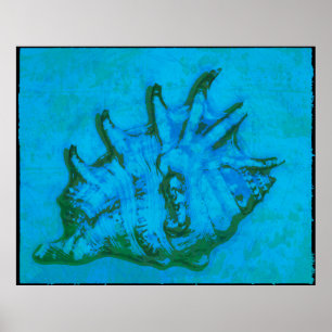 Pop Conch Poster