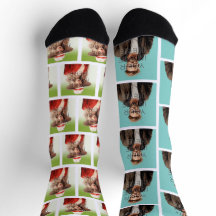 Pop Culture Signable Add Photo Personalized Custom