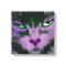 Pop Kitty Pink Wrapped Canvas Print