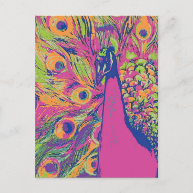 Pop Peacock Postcard (Front)