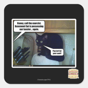 Pop tart for your soul? square sticker