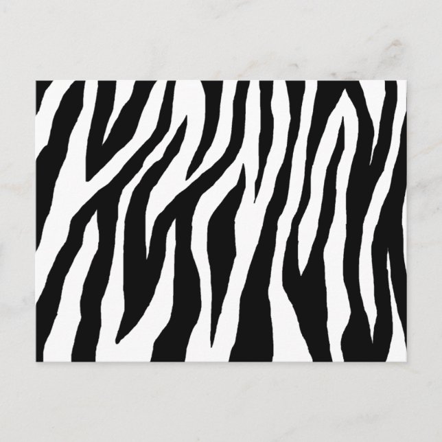 Pop Zebra Postcard (Front)
