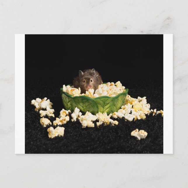 Popcorn lover postcard (Front)