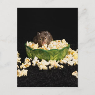 Popcorn lover postcard