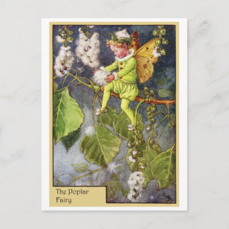 Poplar Fairy Postcard