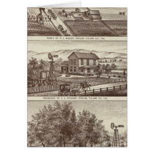 Poplar ranches