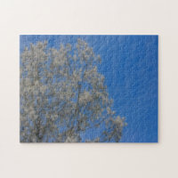 Poplar Tree Fluff Snow In June 
