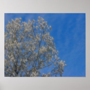 Poplar Tree Fluff Snow In June No. 2 Nature Poster