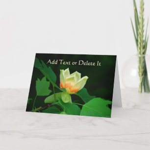 Poplar Tree Tulip card