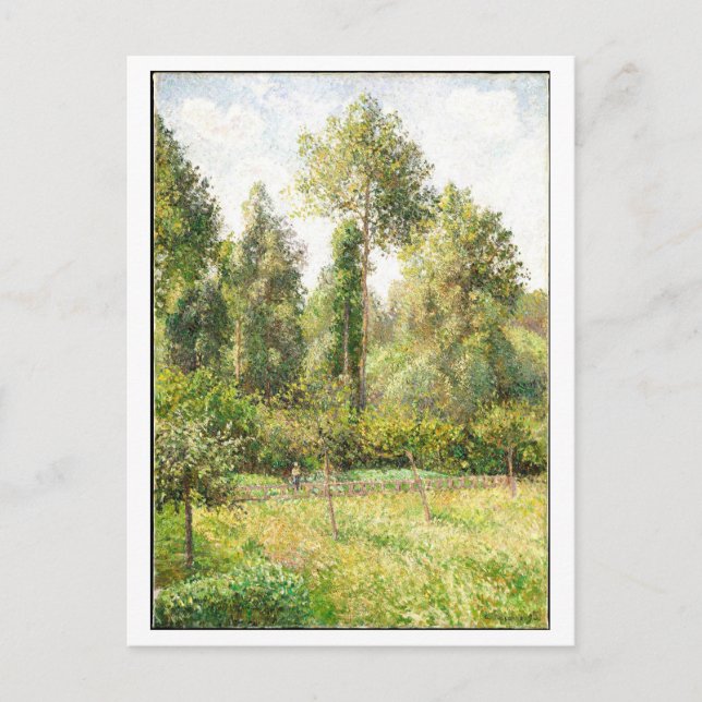 Poplars and Meadow Painting by Pissarro Postcard (Front)