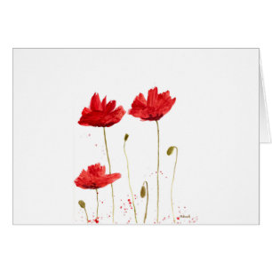 Poppies