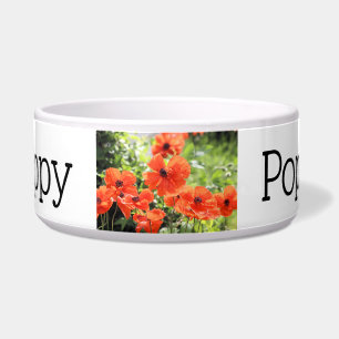 Poppies