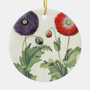 Poppies: 1.Papaver flore multiplici incarnato; 2.P Ceramic Ornament