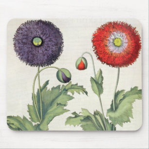 Poppies: 1.Papaver flore multiplici incarnato; 2.P Mouse Pad