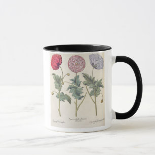 Poppies: 1.Papaver multiplex albumoris rubicundis; Mug