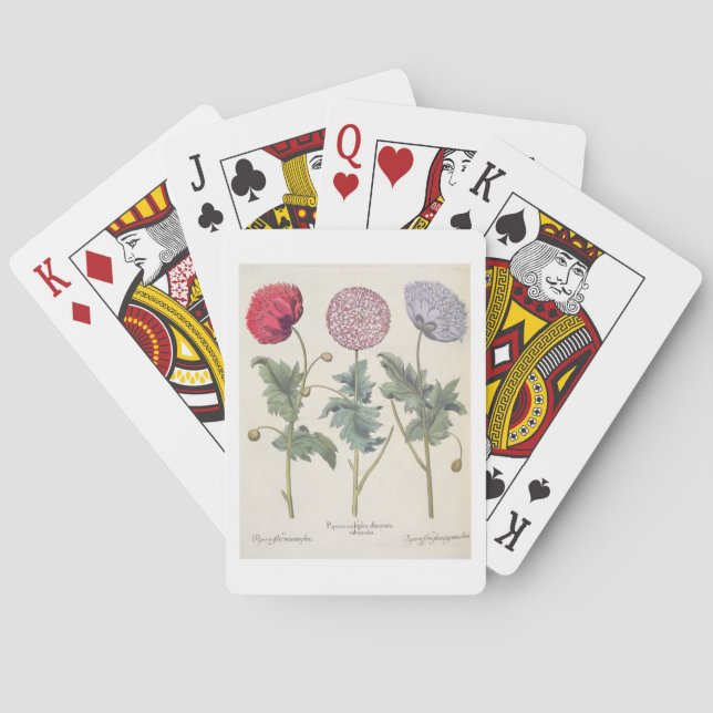 Poppies: 1.Papaver multiplex albumoris rubicundis; Playing Cards (Back)