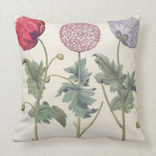 Poppies: 1.Papaver multiplex albumoris rubicundis; Throw Pillow