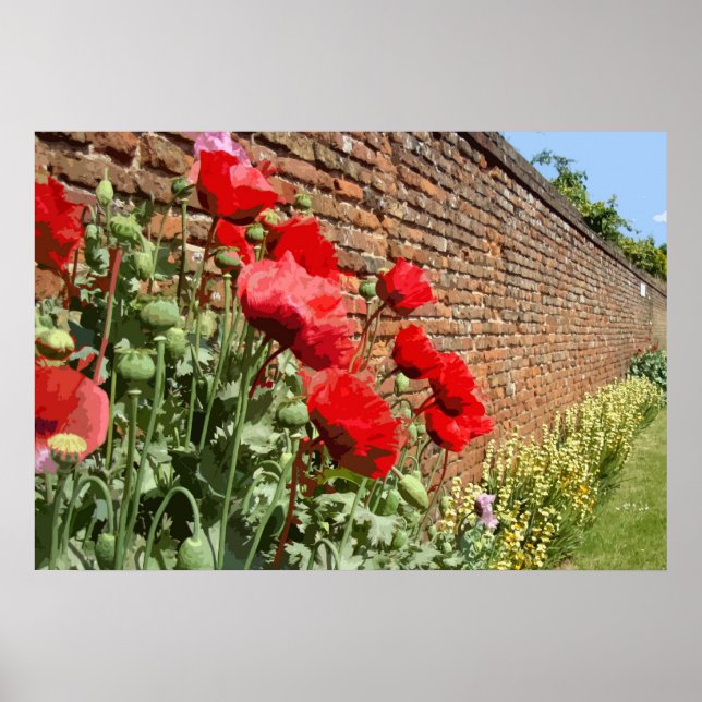 POPPIES 1 POSTER (Front)
