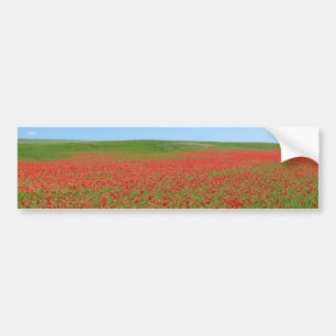 Poppies alive! bumper sticker