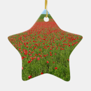 Poppies alive! ceramic ornament