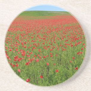 Poppies alive! coaster