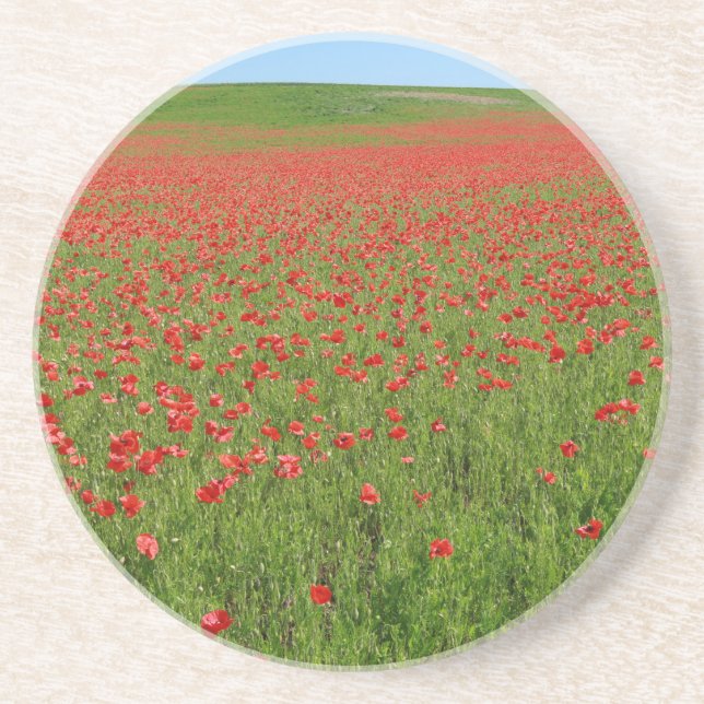 Poppies alive! coaster (Front)
