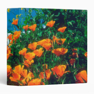Poppies along the Pacific Coast near Big Sur Binder