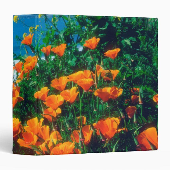 Poppies along the Pacific Coast near Big Sur Binder (Front/Spine)