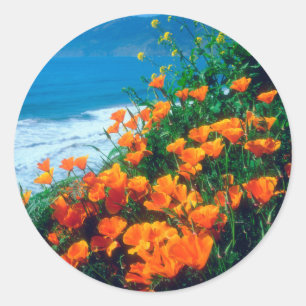 Poppies along the Pacific Coast near Big Sur Classic Round Sticker