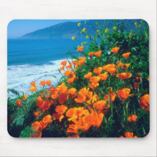 Poppies along the Pacific Coast near Big Sur Mouse Pad
