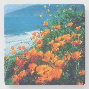 Poppies along the Pacific Coast near Big Sur Stone Coaster