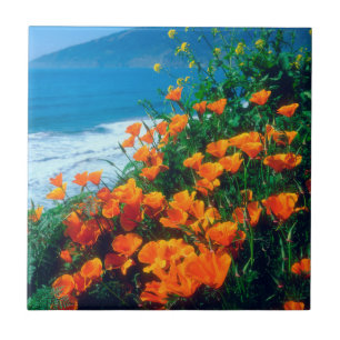 Poppies along the Pacific Coast near Big Sur Tile