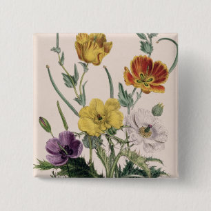 Poppies and Anemones 2 Inch Square Button