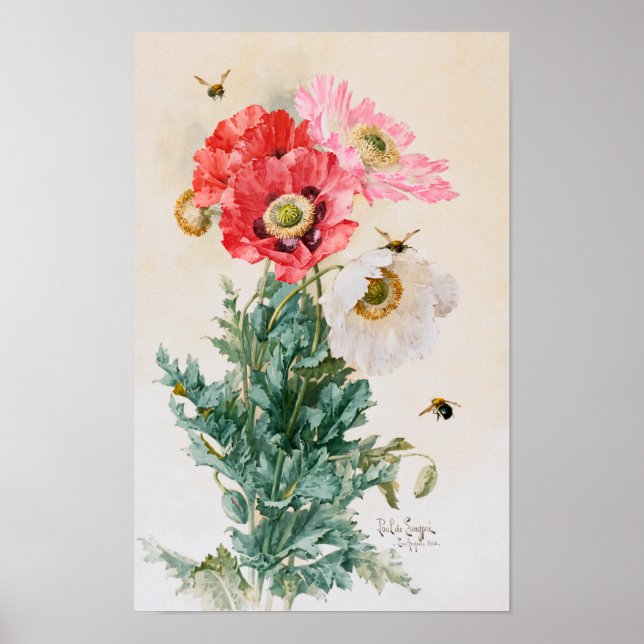 Poppies and Bees by Paul de Longpré Poster (Front)