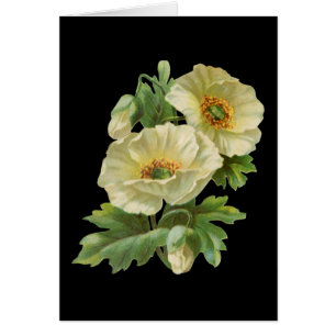 Poppies and Cornflowers Vintage Blank Art Cards