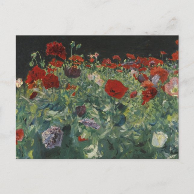 Poppies by John Singer Sargent Postcard (Front)