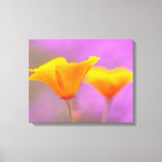 Poppies Canvas Print (Front)