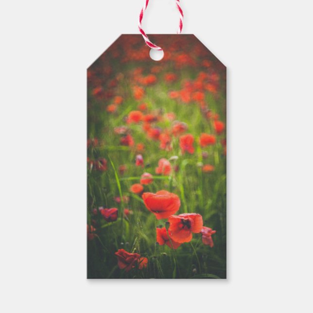 Poppies field gift tags (Front)
